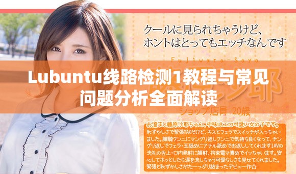 Lubuntu線路檢測1教程與常見問題分析全面解讀