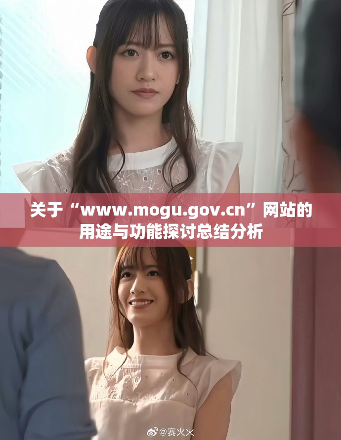 關(guān)于“www.mogu.gov.cn”網(wǎng)站的用途與功能探討總結(jié)分析