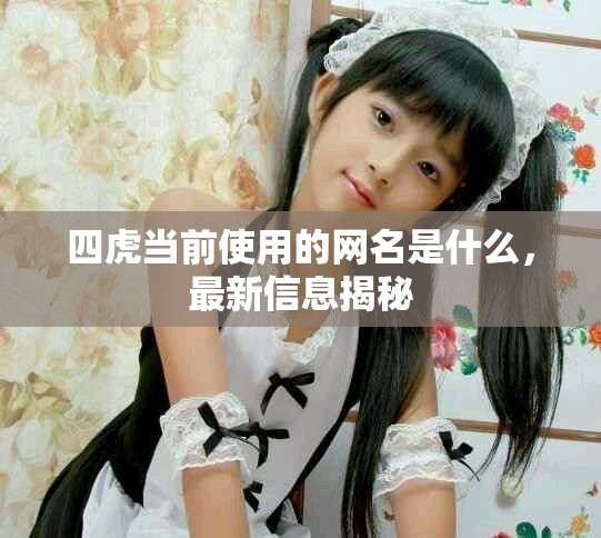 四虎當前使用的網(wǎng)名是什么，最新信息揭秘