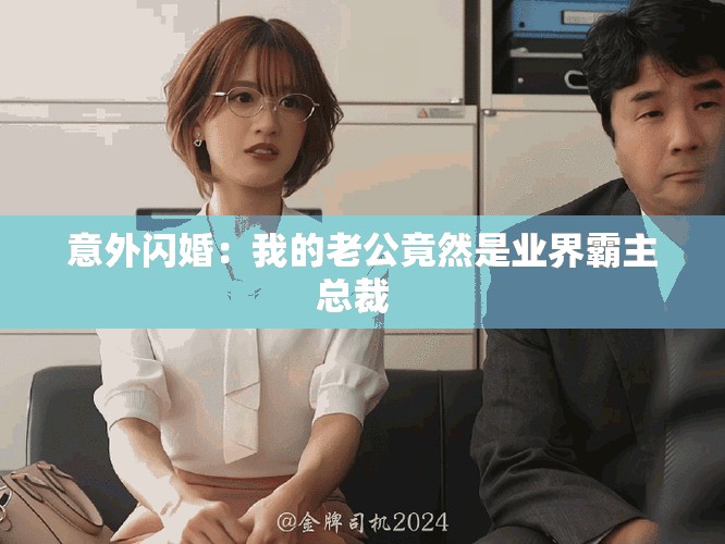 意外閃婚：我的老公竟然是業(yè)界霸主總裁  