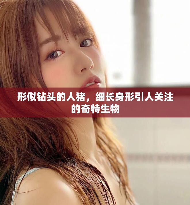 形似鉆頭的人豬，細(xì)長身形引人關(guān)注的奇特生物