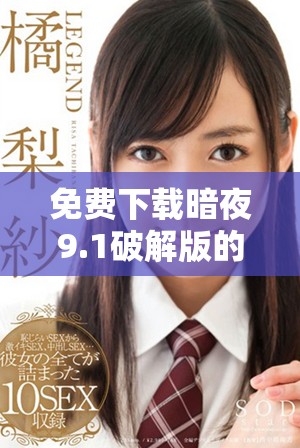 免費(fèi)下載暗夜9.1破解版的詳細(xì)安裝教程與步驟解析