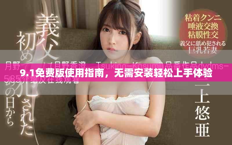 9.1免費版使用指南，無需安裝輕松上手體驗
