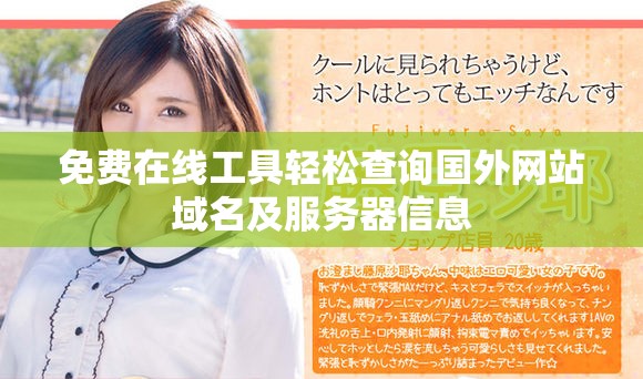 免費在線工具輕松查詢國外網站域名及服務器信息