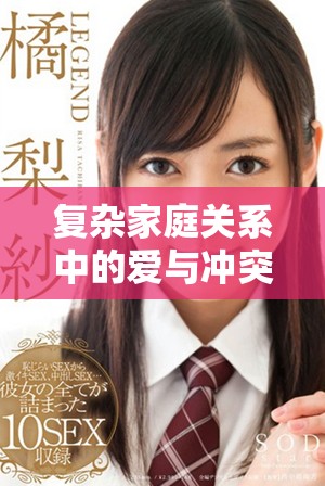 復(fù)雜家庭關(guān)系中的愛與沖突：雙飛的故事與啟示