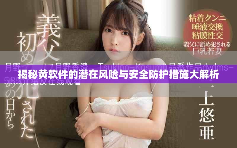 揭秘黃軟件的潛在風(fēng)險與安全防護措施大解析