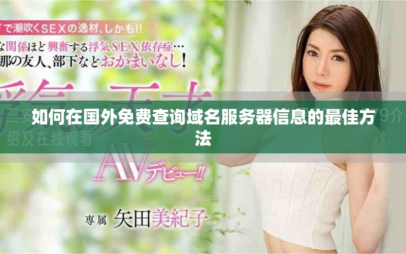 如何在國外免費查詢域名服務器信息的最佳方法