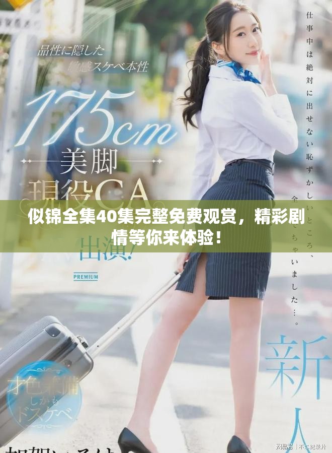 似錦全集40集完整免費觀賞，精彩劇情等你來體驗！