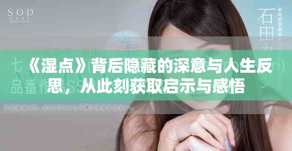 《濕點(diǎn)》背后隱藏的深意與人生反思，從此刻獲取啟示與感悟