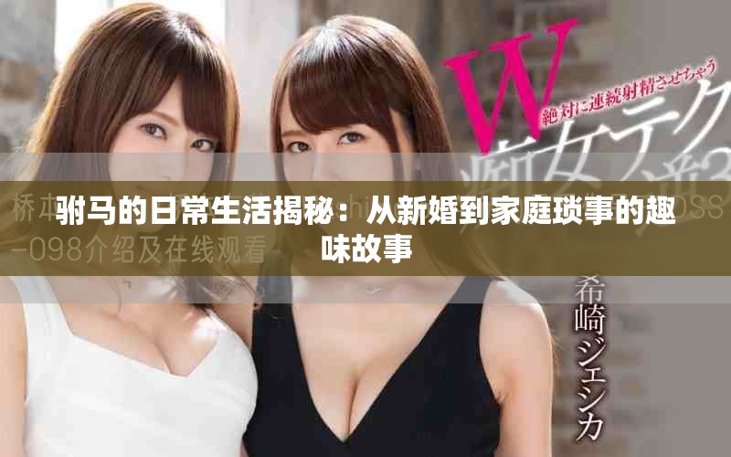 駙馬的日常生活揭秘：從新婚到家庭瑣事的趣味故事