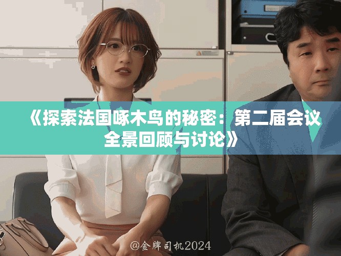 《探索法國啄木鳥的秘密：第二屆會議全景回顧與討論》