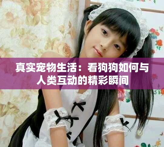 真實寵物生活：看狗狗如何與人類互動的精彩瞬間