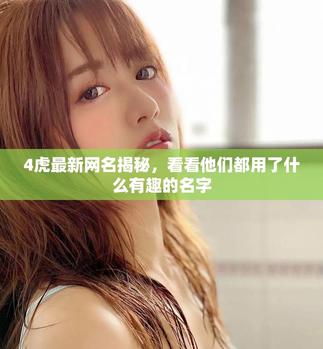 4虎最新網名揭秘，看看他們都用了什么有趣的名字