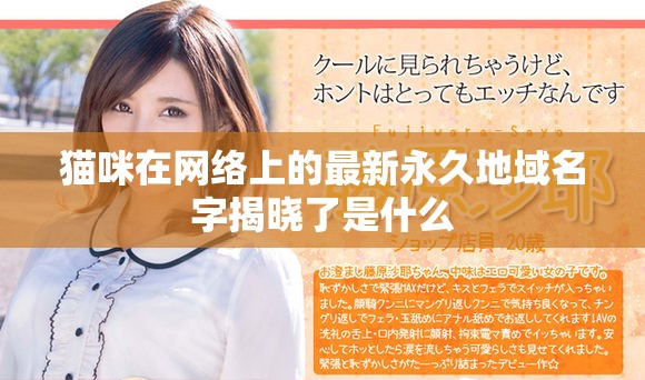 貓咪在網絡上的最新永久地域名字揭曉了是什么