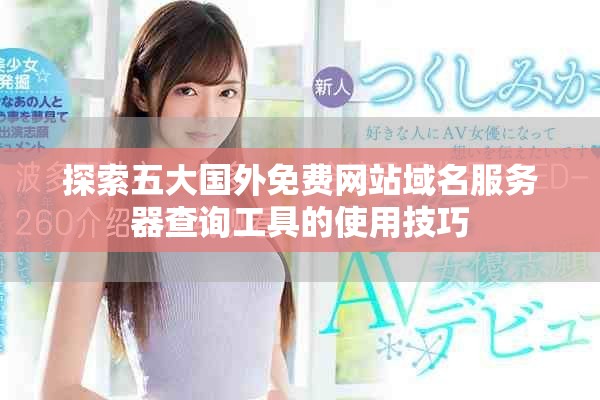 探索五大國外免費網站域名服務器查詢工具的使用技巧