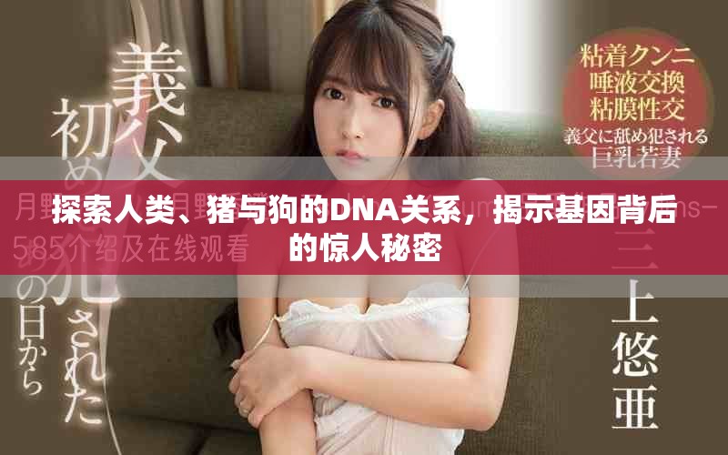 探索人類、豬與狗的DNA關(guān)系，揭示基因背后的驚人秘密
