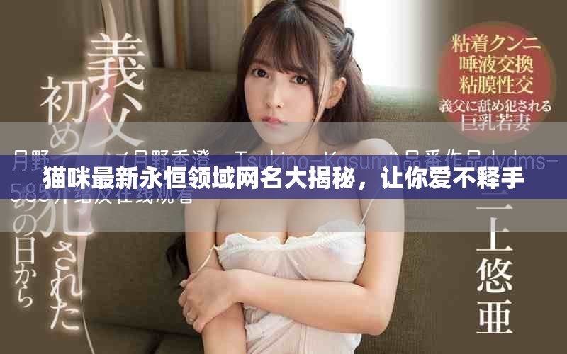貓咪最新永恒領域網名大揭秘，讓你愛不釋手