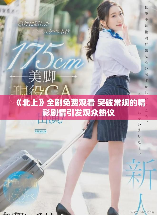 《北上》全劇免費觀看 突破常規的精彩劇情引發觀眾熱議