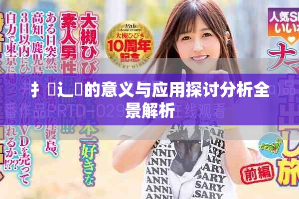 扌喿辶畐的意義與應用探討分析全景解析