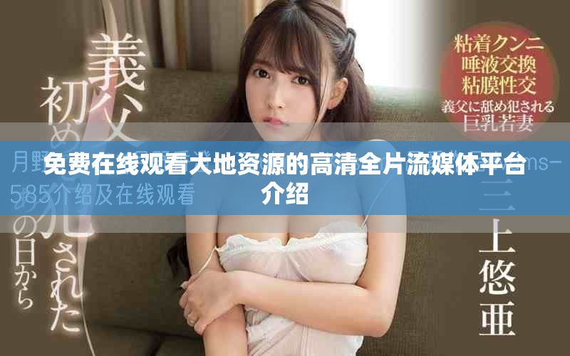 免費(fèi)在線觀看大地資源的高清全片流媒體平臺(tái)介紹