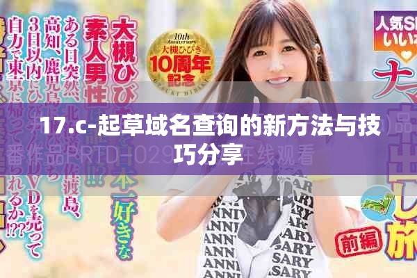 17.c-起草域名查詢的新方法與技巧分享