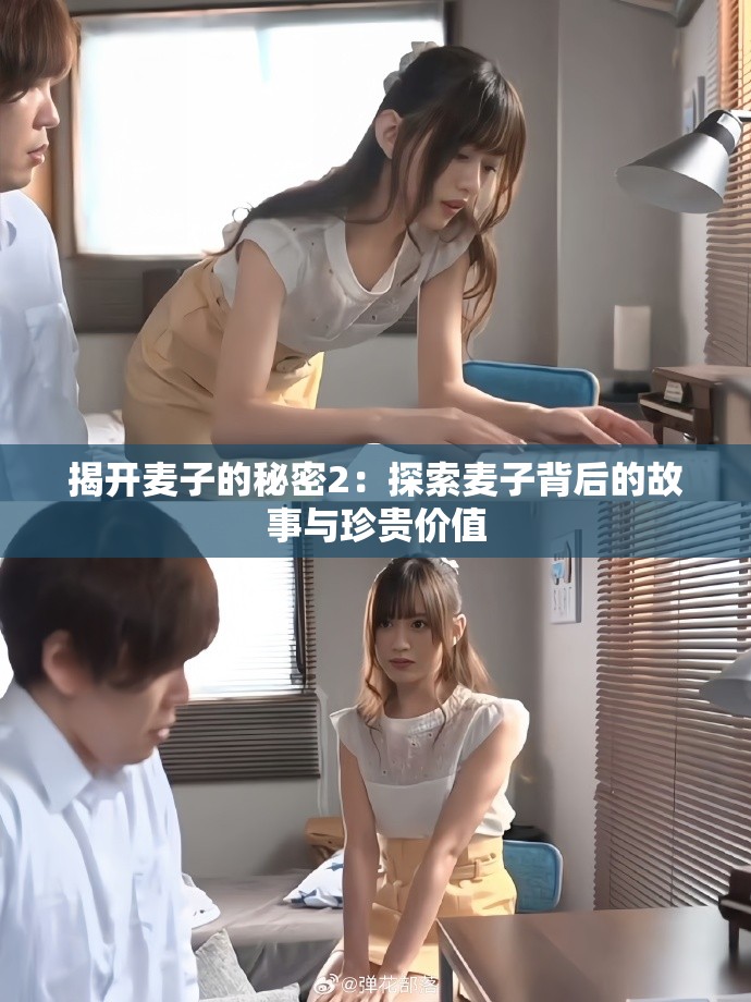 揭開麥子的秘密2：探索麥子背后的故事與珍貴價值