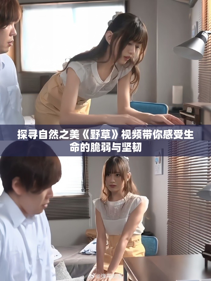 探尋自然之美《野草》視頻帶你感受生命的脆弱與堅韌