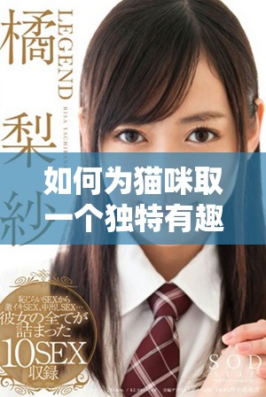 如何為貓咪取一個獨特有趣的地域網名技巧分享