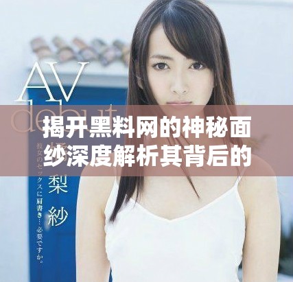 揭開黑料網的神秘面紗深度解析其背后的真相與影響