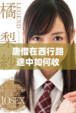 唐僧在西行路途中如何收服白龍馬的精彩故事解析